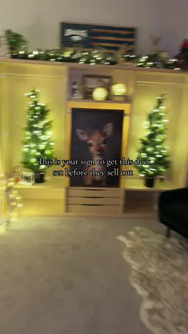 These are stunning #christmasdecor #christmasdecorations #tiktokshopblackfriday #tiktokshopcybermonday #tiktokmademebuyit 