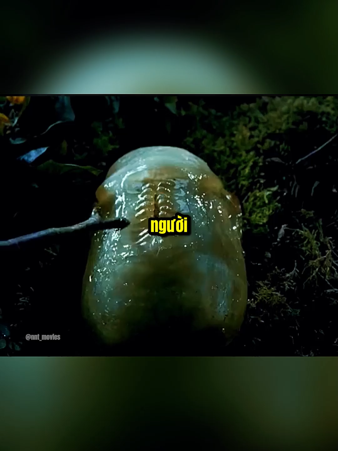 Kho báu biến anh thành QUÁI VẬT P1#reviewphim #nnt_movies #phimhaymoi #reviewphimhay