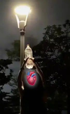 Lalai par ma ki ghuna ghoriiii😫🥀🥀