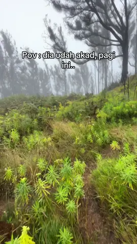 🥀🥀 #pendakigunung #argopuro #pendakiindonesia #storytime #xyz #galaubrutal #tulus #chrisye #foryou