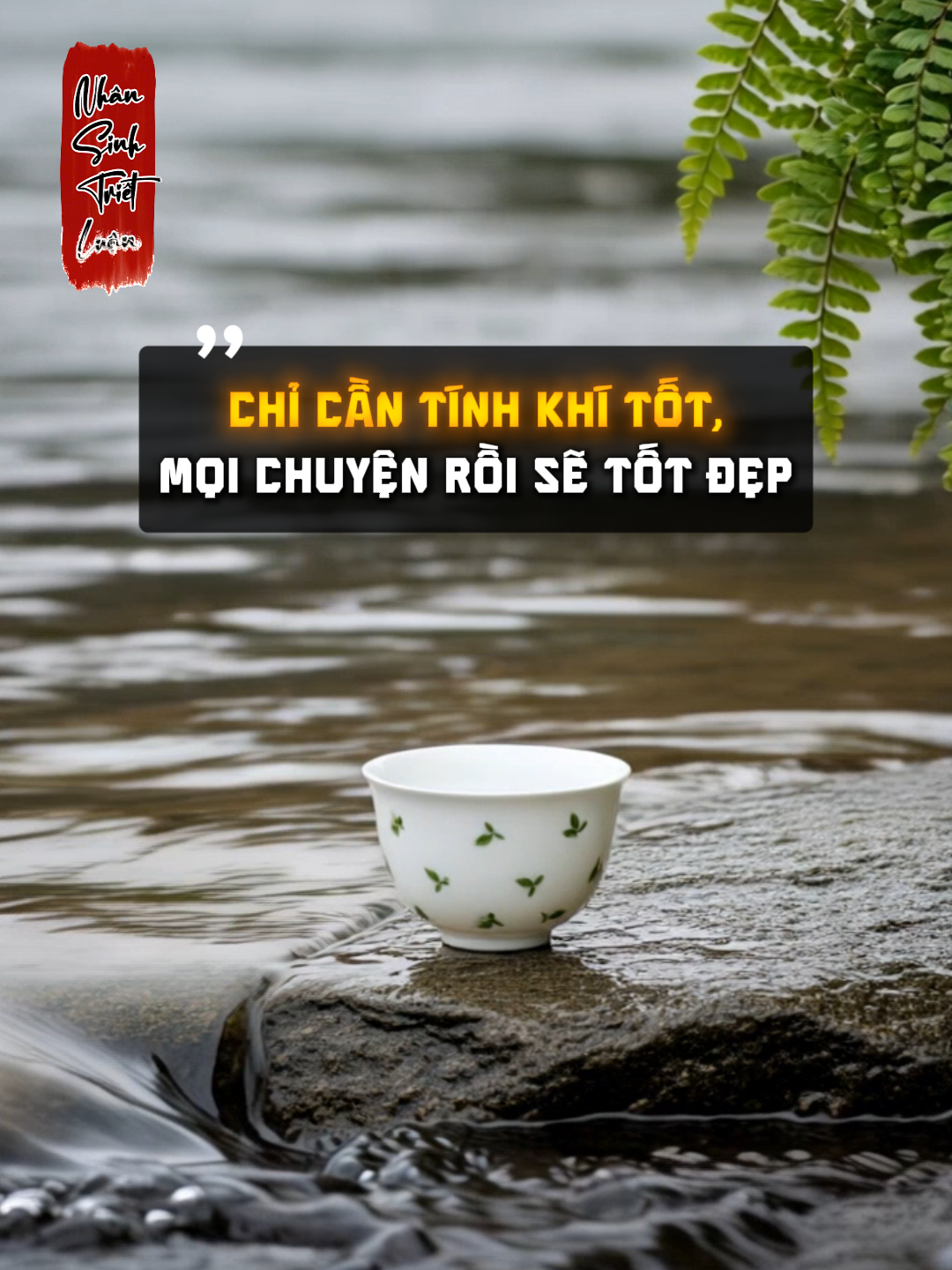 Vì sao nói: Kiểm soát cảm xúc là năng lực cao cấp nhất của con người? #nhansinhtrietluan #baihoccuocsong #trietlysong #doinhanxuthe