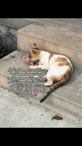 #myanmartiktok🇲🇲🇲🇲 #foryoupage❤️❤️ #S #moots? #NeLe 