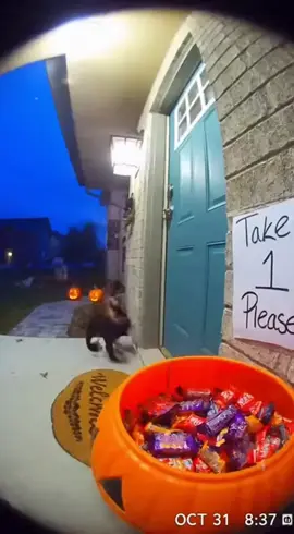 I’m a Diddy blud🥀 #diddy #halloween #trickortreat #fyp #viral 