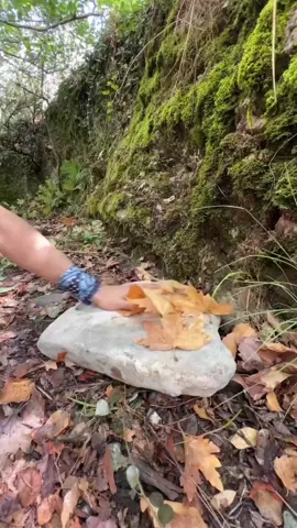 CERITA HOROR‼️HUTAN KALIMANTAN (NO PART) #fyppppp #ceritanadiaomara #nadiaomara #asmrvideo #fyppppppppppppppppppppppp 