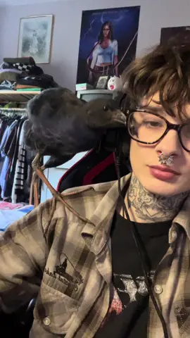 When I don’t give him attention for 5 seconds 