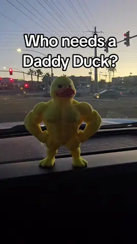 What the duck?