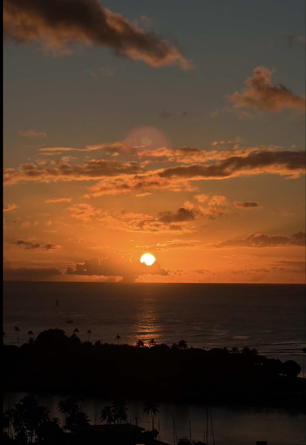 foodland spooked me this halloween 👻 