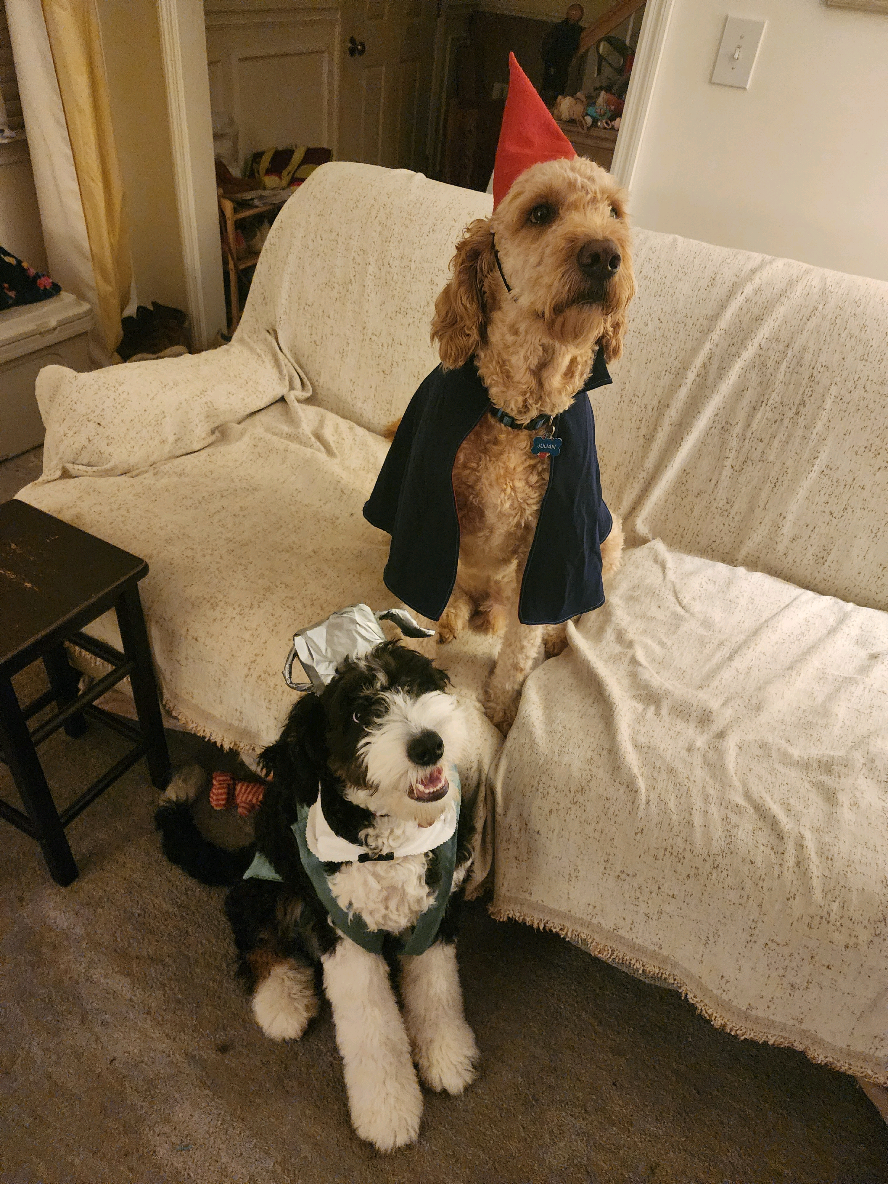 and theyre actually brothers #halloween #overthegardenwall 