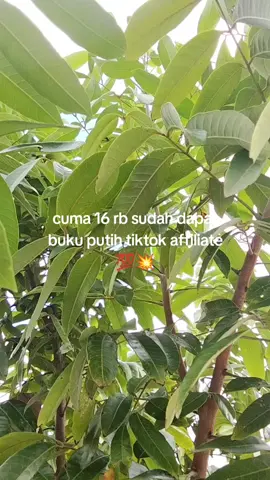 #masukberanda #fypシ゚ #buku putih affilliet #tiktokaffiliate 