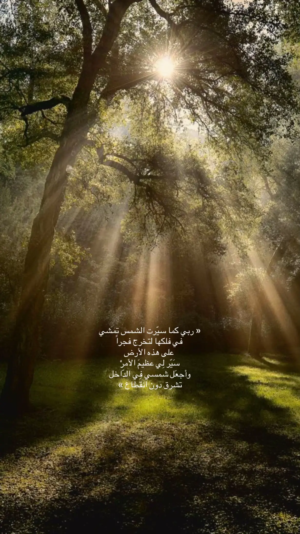 #explor #foryourpage 