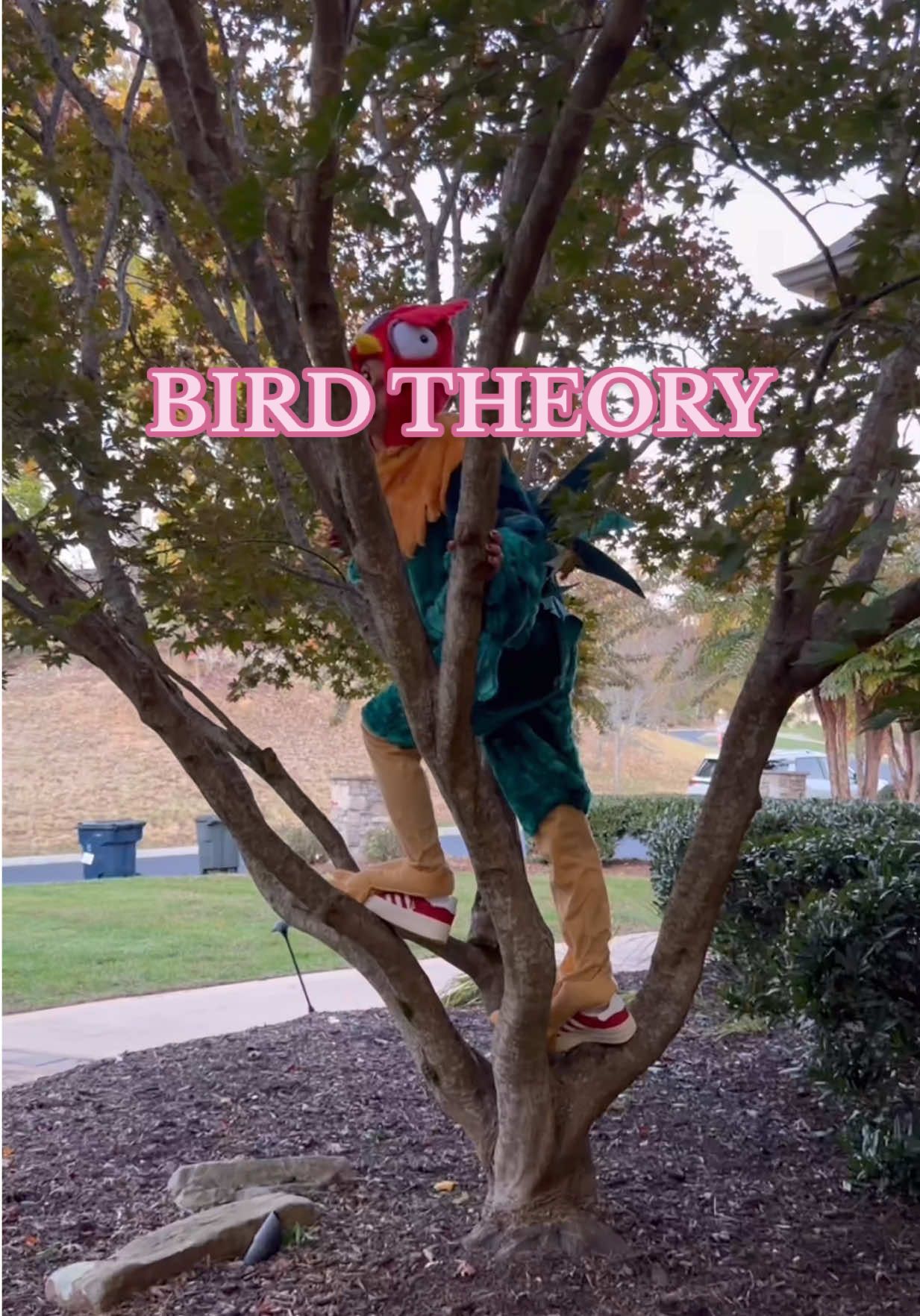 bird theory (Halloween edition) 🎃🤪