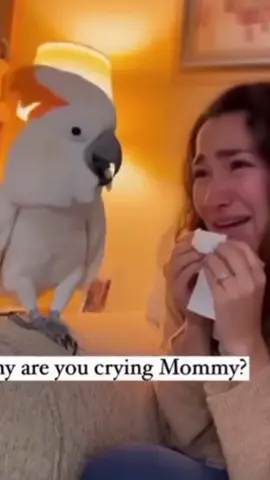 មនុស្សរឹងមាំមិនមែនគ្មានទិចទេ ប៉ុន្តែគេចេះឆ្លងកាត់វា# កម្លាំងខាងក្នុង# StrongMindset