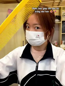 🤣🤣 #lược #luockhonglo 