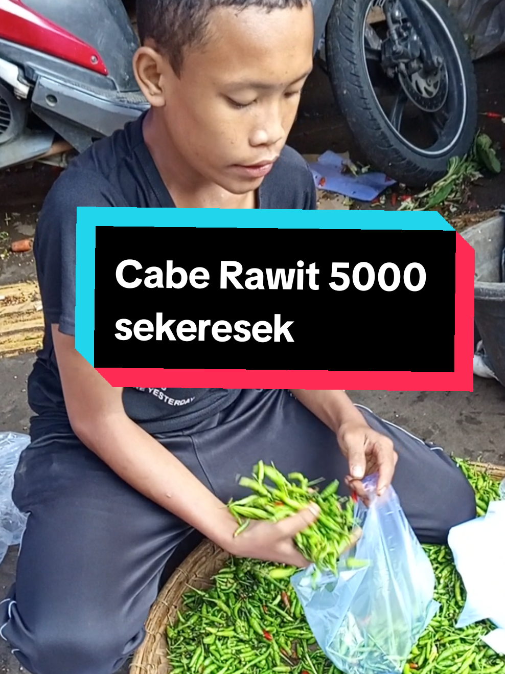 Hati siapa yg meronta - ronta ada cabe rawit  5000 sekeresek #pasarpedati #pasarbogor #suryakencana #ocky 