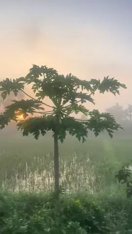 🧧TẾT 2026🧧🌸🌼 🌸🧧🧧107day đếm ngược nào 🧧🧨🎇#tết2026🌸🌸🧧🎆🎇 #tếtdongđầy #tetnguyendan2026🧧🎆🧨 #têtsumvầy 