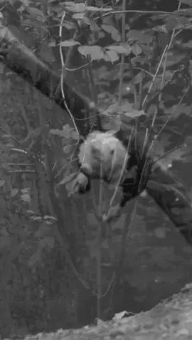 #CapCutMotivacional #CapCut #seen #fyp #view 