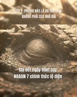 Hóng hóng #LearnOnTikTok #ktg_team🦚 #gà_🐥ks #naagin7 #vươngnaaginieditvietnam 