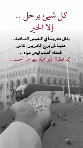 #في هذا اليوم 