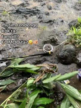 kene sek hujan badai angin ribut ae budall moso kono ora😭 #mancingmania #foryoupage #fyp #4u #musimhujan 