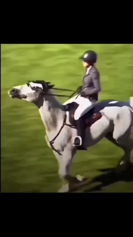 🤍🤍:: RPG:: Competição com a Pandora! Primeiro lugar com metade da rédea solta e no final sem rédeas!!  #fyp #fyy #fy