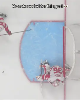 #NHL #hockey #hockeytiktoks 