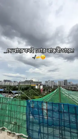 দে নারে বনই তোর বান্ধবীডারে..! 🫴🥴 #fypシ゚ #foryoupage #trending #100kviews #copylink 