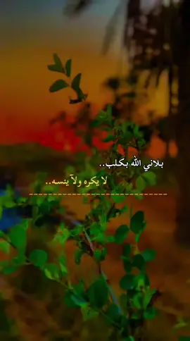 #عباراتكم💔💔؟ #😔💔🥀 