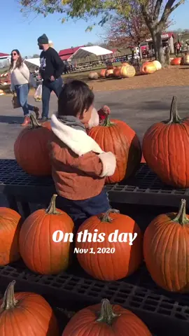 #onthisday #beta #pareshsapkota #sarmup2 