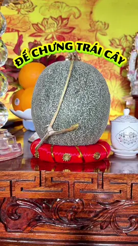 Đế chưng trái cây tiện lợi #dechungtraicay #dechungdua #hanggiadung #xuhuong2025 #phuonggiadungqn 