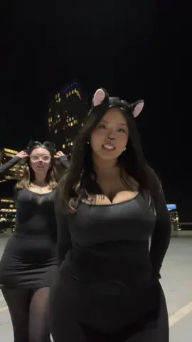 kittiesssss@shianne ♡︎ 🐾