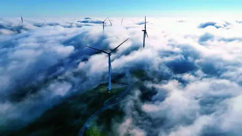 #CapCut CHUYÊN MỤC TÌM NGƯỜI CÙNG “NGÀY SINH”..? #capcut #capcutpioneer #pioneertemplate #nhachaymoingay 