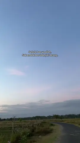 🗿#pyfツ #sasaklombok🌴 #storywhatsapp #fypppppppppppppppppppppppppppp #sasaklombok #lombokvirall🌴🌴 