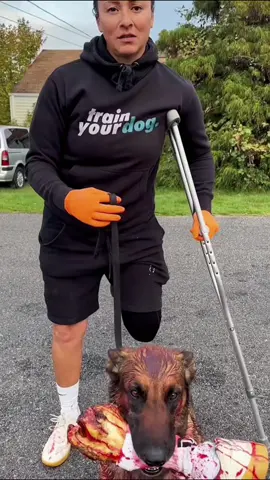 Trick or treat? Woof ! 🤣#tichcuc #xuhuong #viral #halloween #funny 