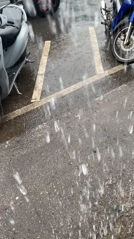 พาเต่ามาเล่นน้ำหน่อย🐢#แกรนด์ฟีลาโน่ 