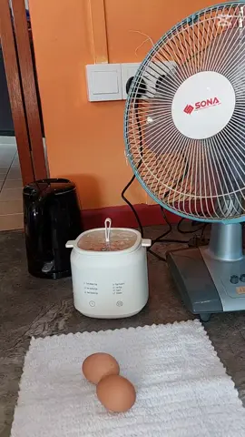 💖 JANGAN TIRU AKSI INI‼️ *Akibat Terlampau GANAS, HANCUR!!* 😂🤣✌🏻 Anyway Anybody Who Are Interested Towards This Small Cutie Pie Egg Boiler, Can Simply Check It Out At My Yellow Bag Orait.. Singapore Only 🇸🇬 • • • #FYP #fypviral2025シ #EggBoiler #DahSyatttt 