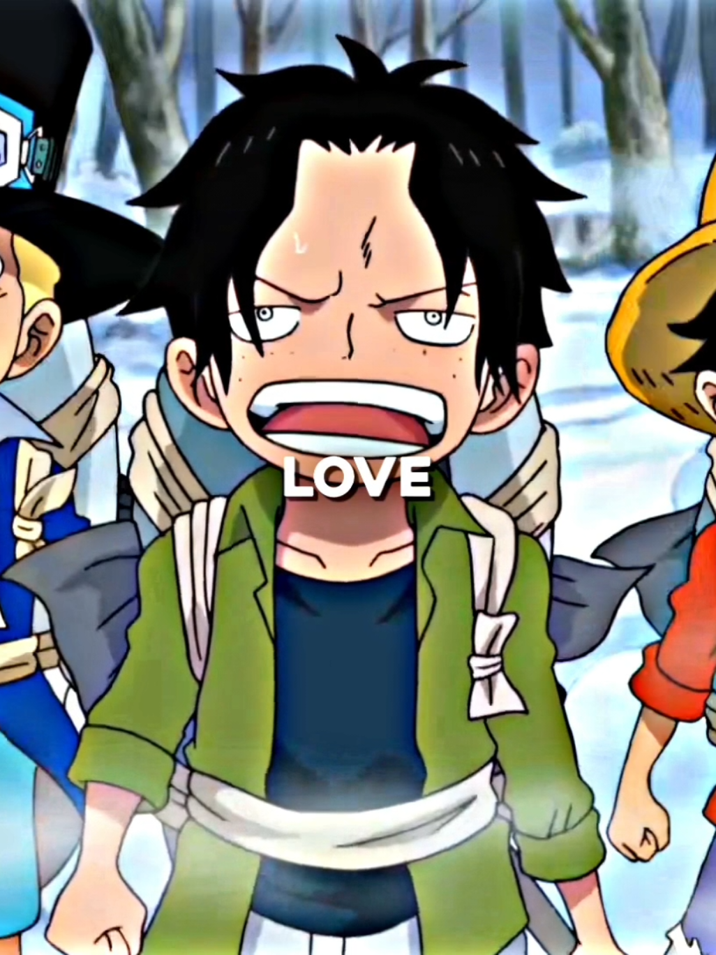 ASL 🥹💐 #ace #luffy #sabo #onepiece #fyp 