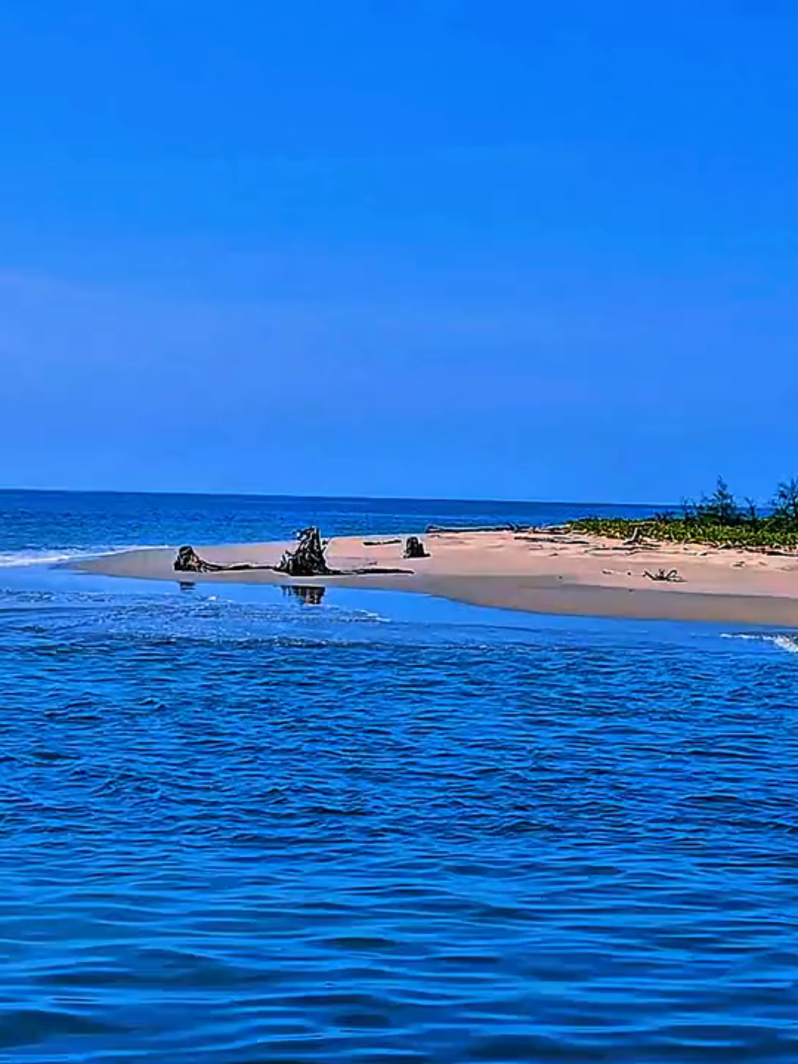 Ini gk ada dkeranjang kuningnya😄 yg minat berkunjung DM aja #acehsingkil  #pulaubanyakbarat  #islandvibes🌴  #fypage  #viralvideo