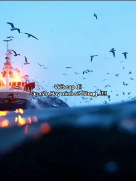 #ducthanh🕯️ #tamtrang #fyp 