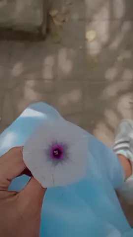 ❤️‍🩹❤️‍🩹