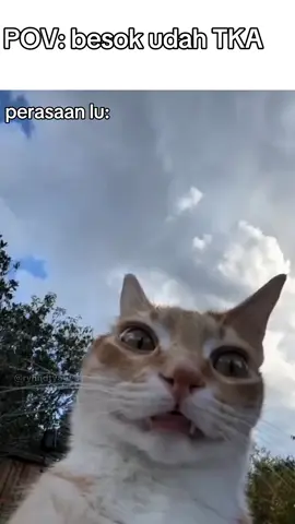 🗿 #fyp #foryoupage #tka #smk #meme 