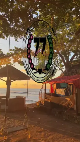 SETI SETI 🍃🐊#fyppppppppppppppppppppppp #fypppp 