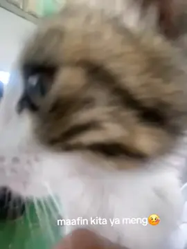 maaf@elbjibun @mang00.00 