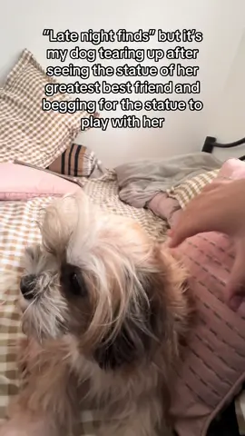 crying #fyp #fypシ #dogs #shihtzu #statue 