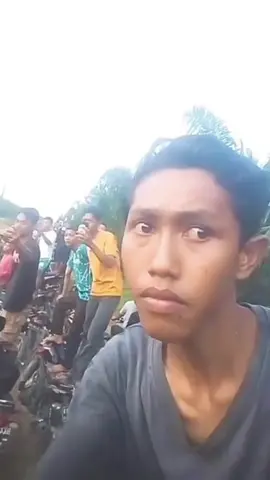 stecu stecu #ferryirwandi #meme #fyp 