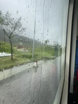 Bao bung dè nhé 😊😊 #xekhachvietnam🇻🇳 