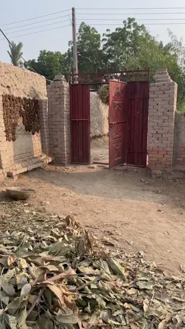 #foryou #🤲🤲❤️ 🇬🇧Uk