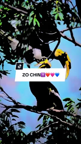 အောက်ချင်းငှက်လေး ❤️🩷💙✝️#မြင်ပါများပီးချစ်ကျွမ်းဝင်အောင်လို့🤒🖤 #ရောက်ချင်တဲ့နေရာရောက်👌 #ရောက်စမ်းfypပေါ် #fyp #foryou 