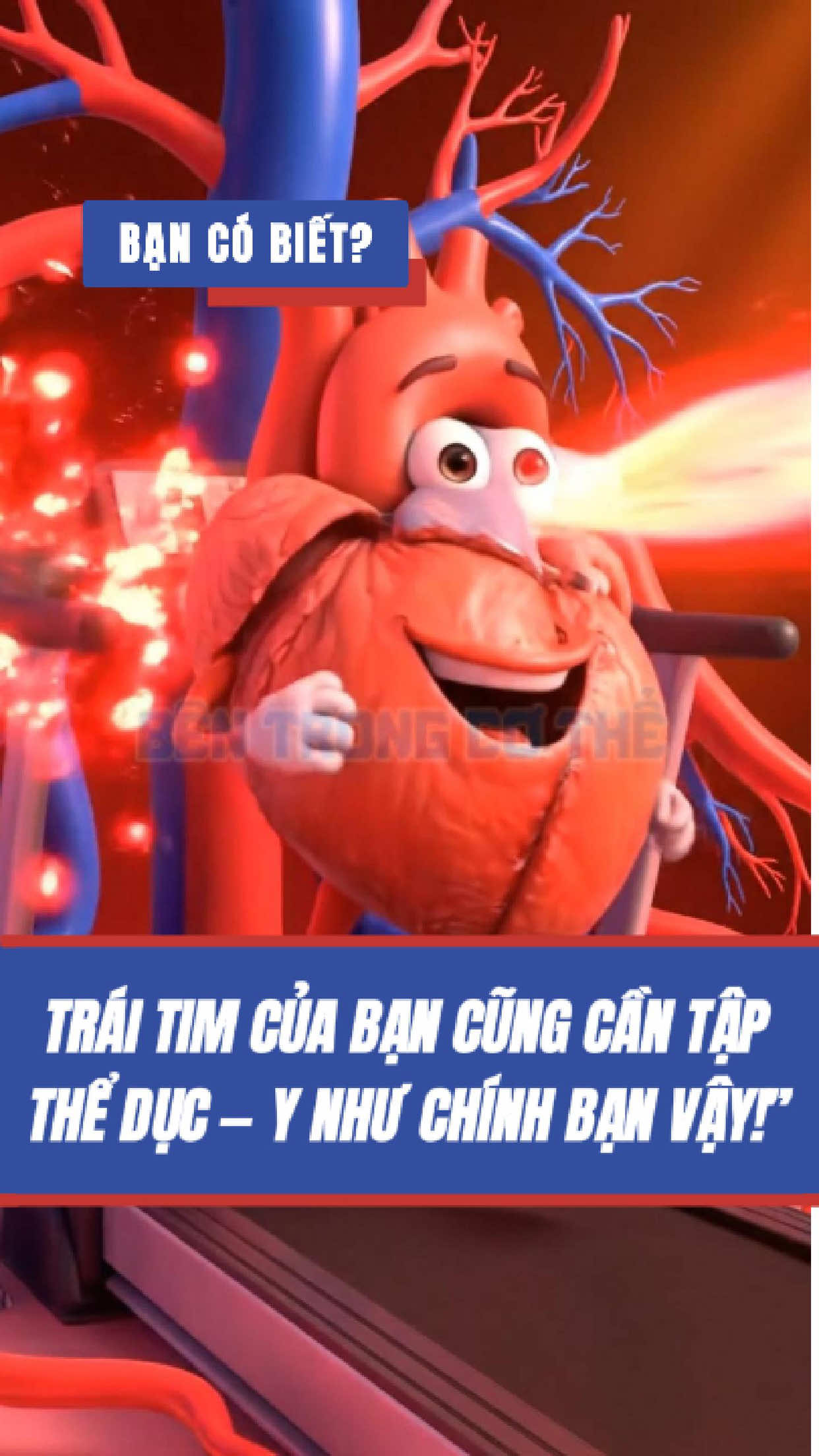 Không chỉ chân mà tim cũng cần tập thể dục, bạn có biết ? #taptheduc #suckhoe #bentrongcothe #traitim #tim 