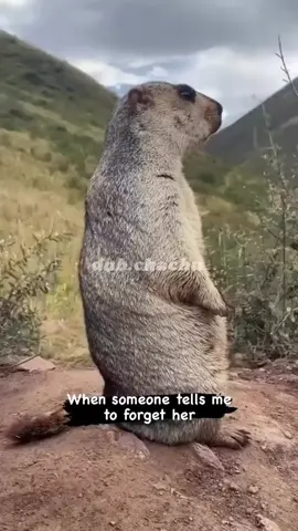 #viralvideo #funnyvideos #🤣😅 