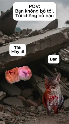 Tình anh em…#meme #memecat #mememeo #xuhuong #viral 